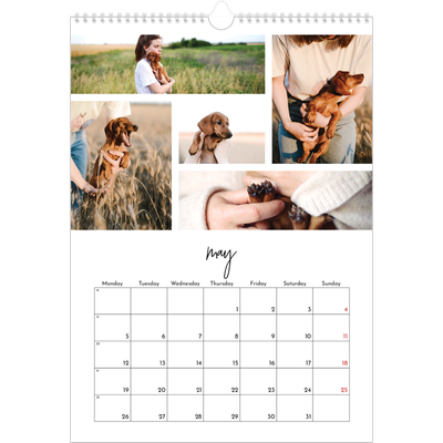 A3 photo calendars — Photo arrangements [cover]