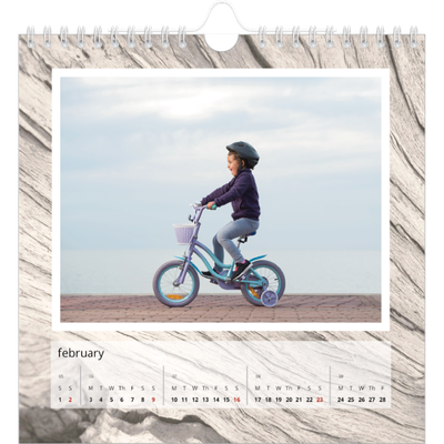 Square calendars  — Tree bark [February]