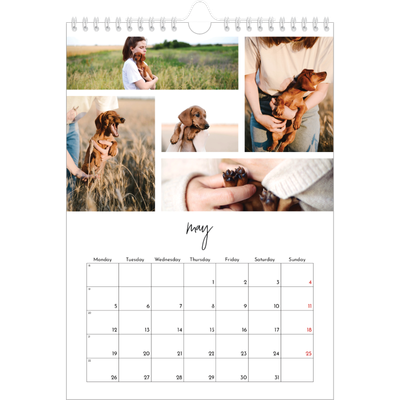 A4 Photo Calendar — Photo arrangements [cover]