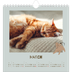 Square calendars  — Playful puppy [March]