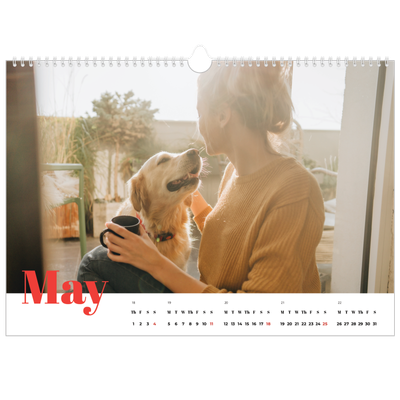 A3 Photo Calendar — A bold year [cover]