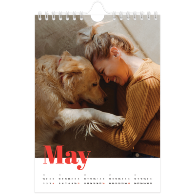 A5 Photo Calendar — A bold year [cover]