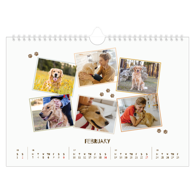 A4 Landscape Photo Calendar — Playful puppy [February]
