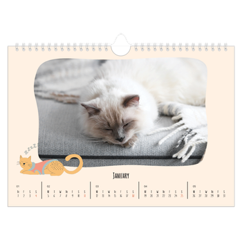 A4 Landscape Photo Calendar — Cat paws and doodles