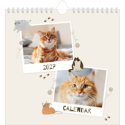 Square calendars  — Playful kitten [cover]
