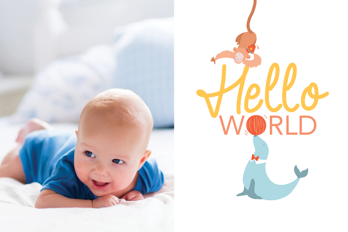 Invitations — Playful animals