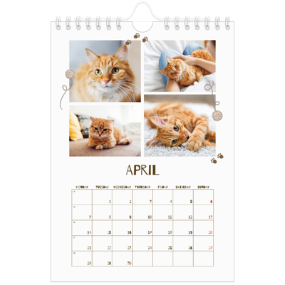 A5 Photo Calendar — Playful kitten [April]
