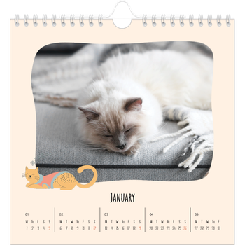 Square Photo Calendar — Cat paws and doodles