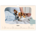 A3 Photo Calendar — Dog paws and doodles [February]